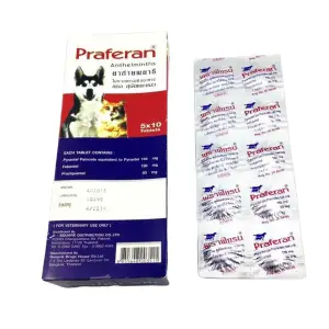 deworming tablets for dogs