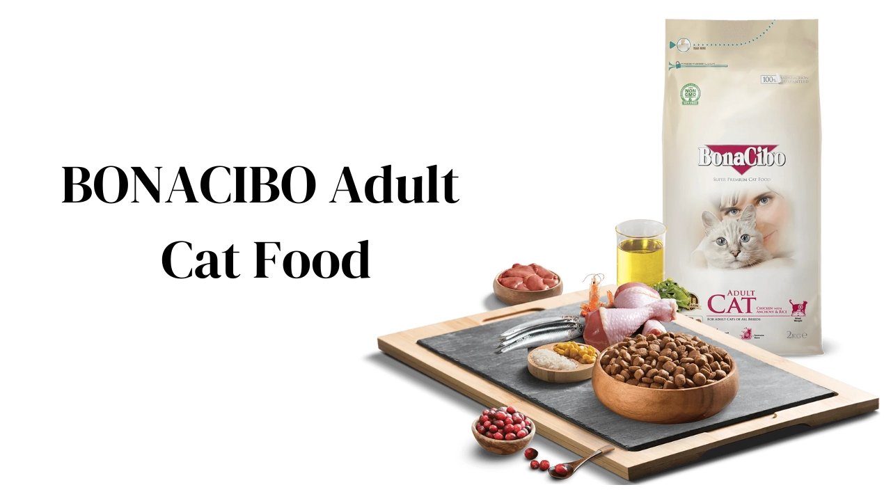 BONACIBO Adult Cat Food