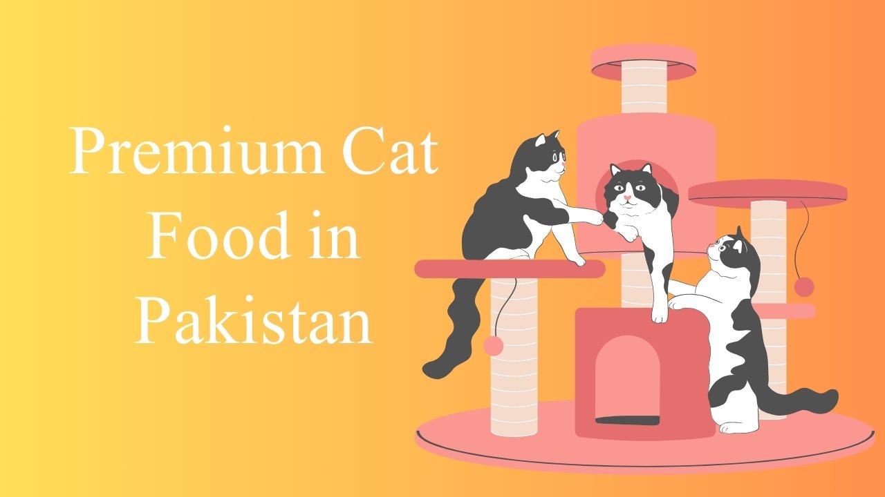 Premium Cat Food in Pakistan