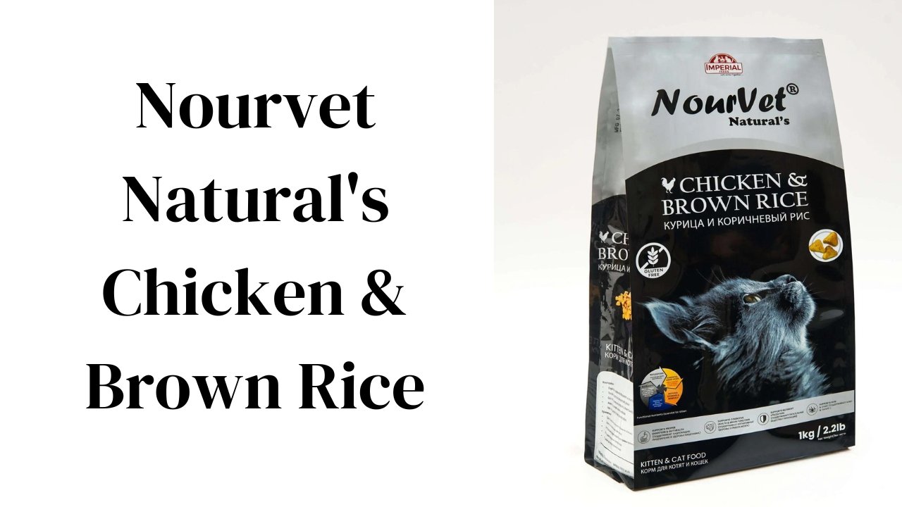 Nourvet Natural's Chicken & Brown Rice