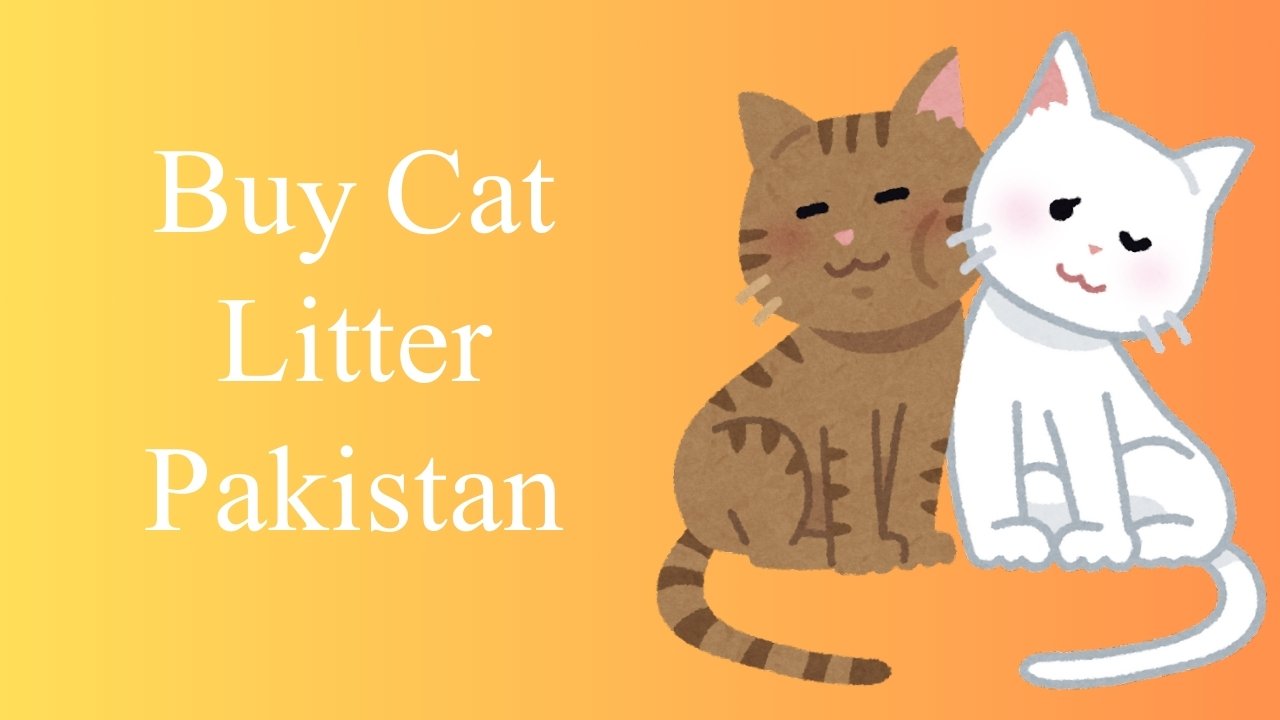 Buy Cat Litter in Pakistan