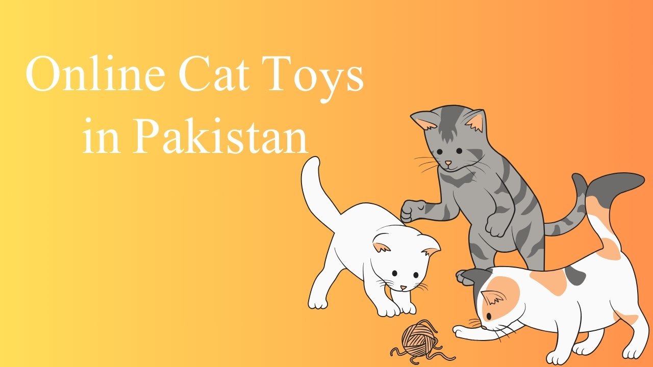 Buy Online Cat Toys in Pakistan