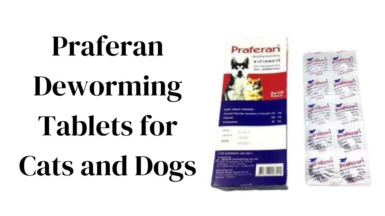 Praferan Deworming Tablets for Cats and Dogs