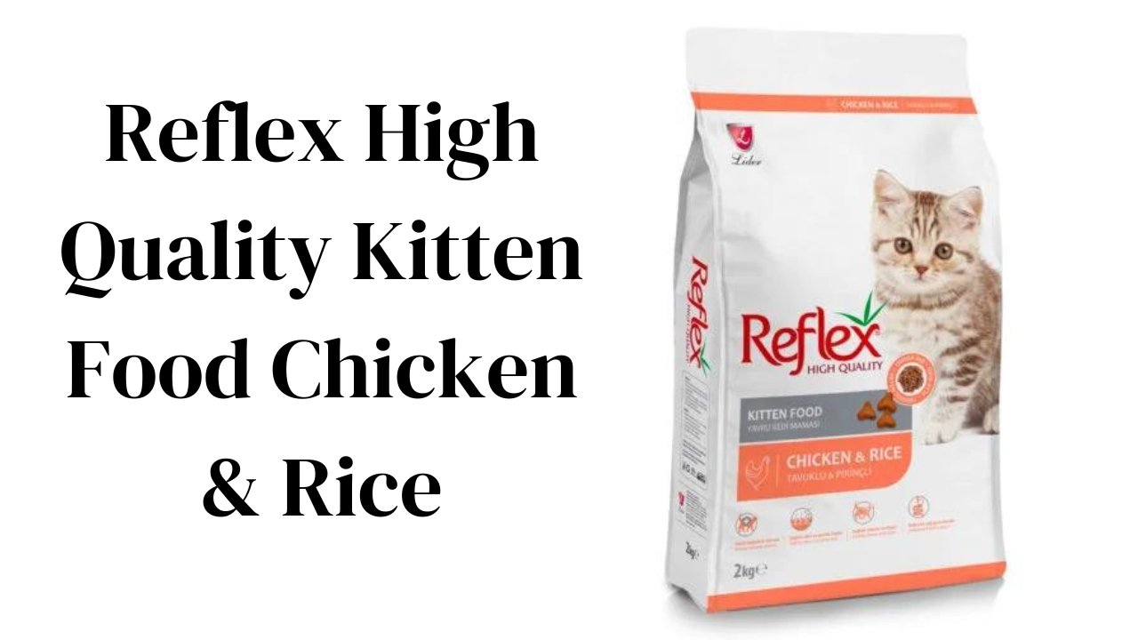 Reflex High Quality Kitten Food Chicken & Rice