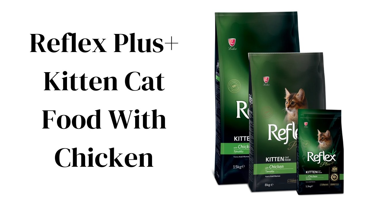 Reflex Plus+ Kitten Cat Food With Chicken