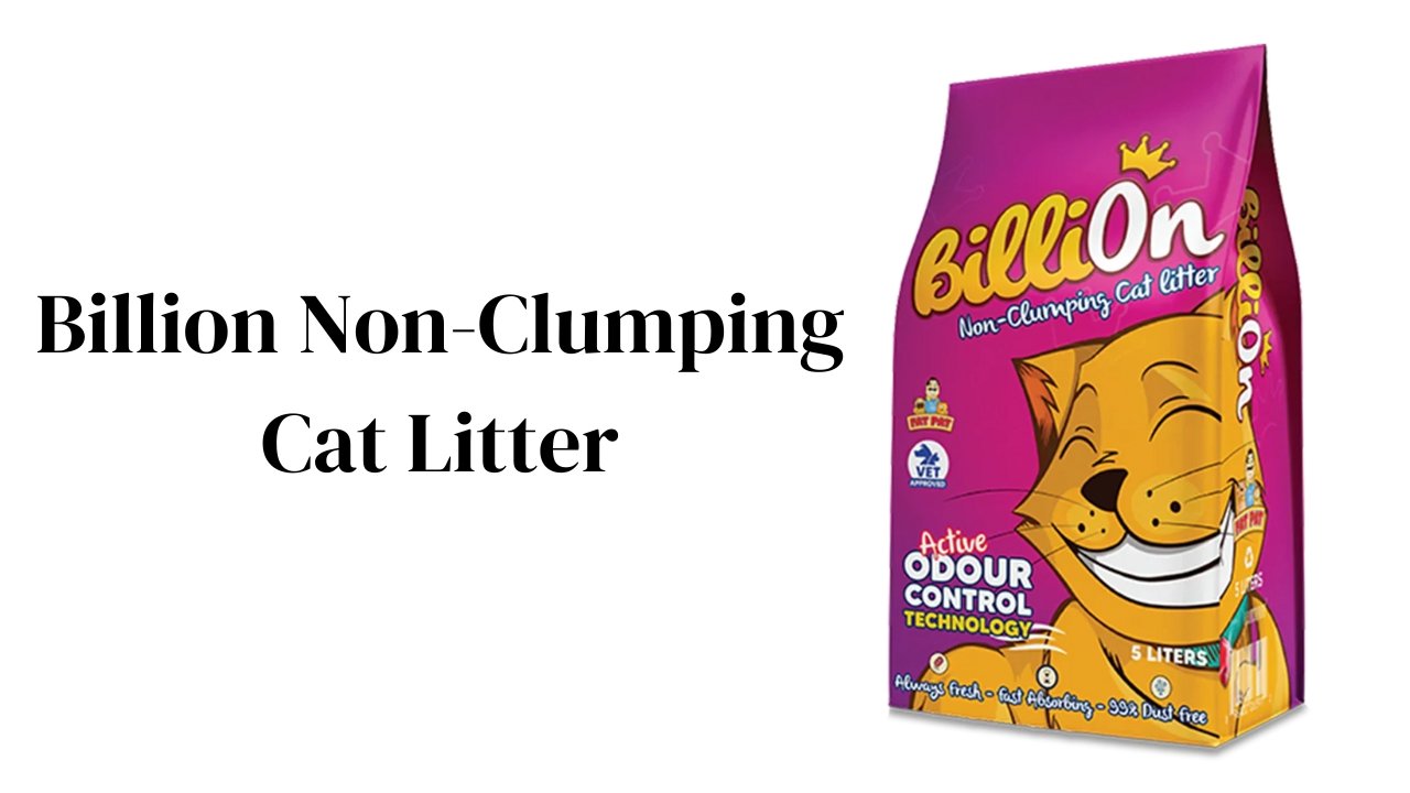 Billion Non-Clumping Cat Litter