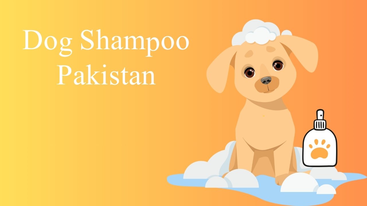 Dog Shampoo Pakistan