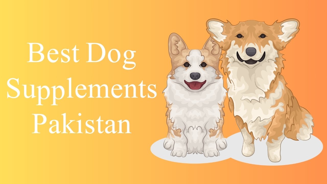 Best Dog Supplements Pakistan