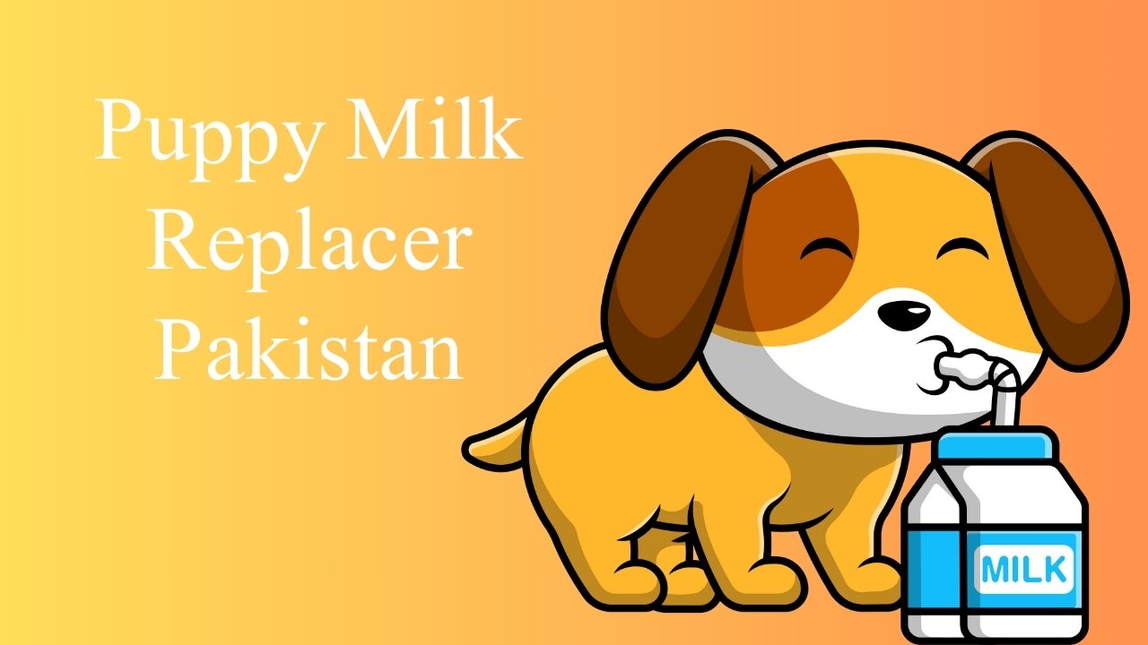 Puppy Milk Replacer Pakistan