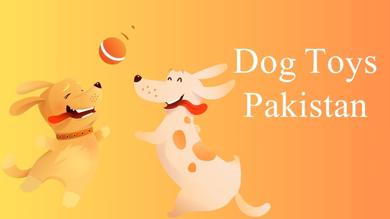 Dog Toys Pakistan