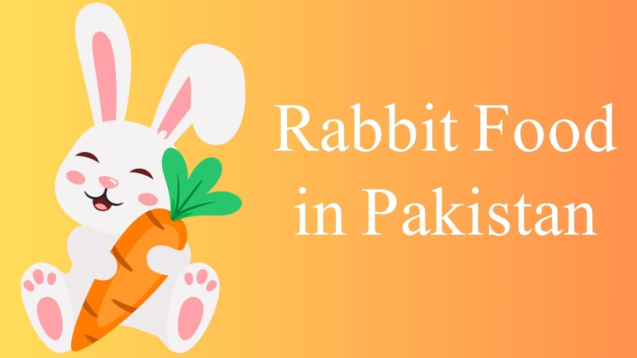 Rabbit Food in Pakistan