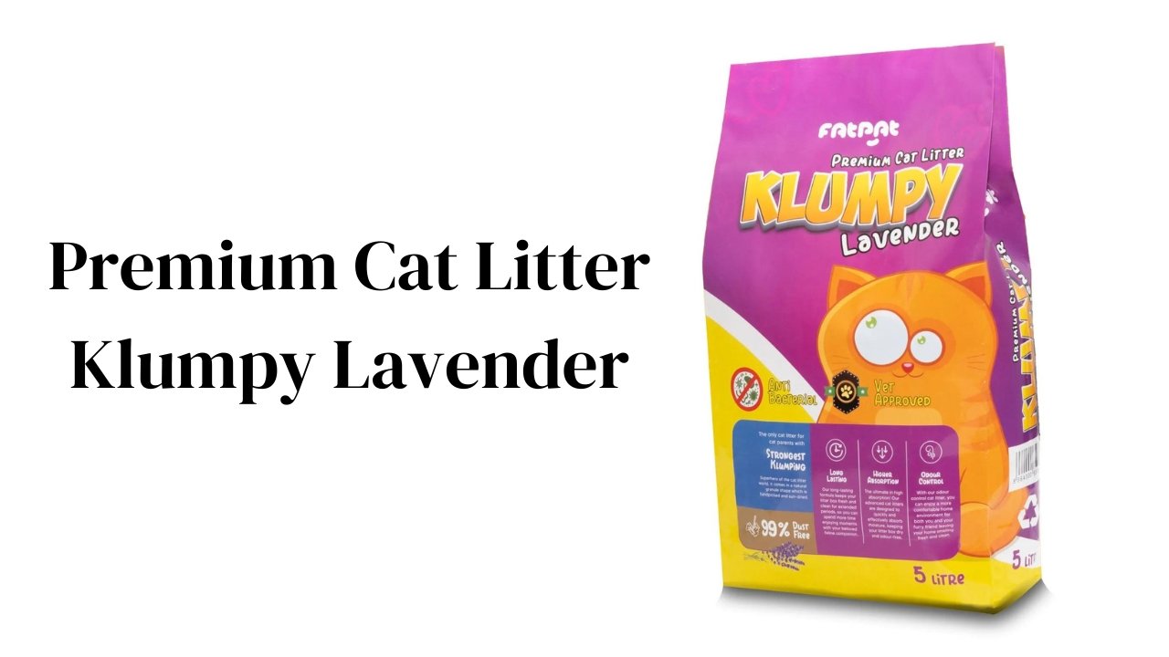 Premium Cat Litter Klumpy Lavender