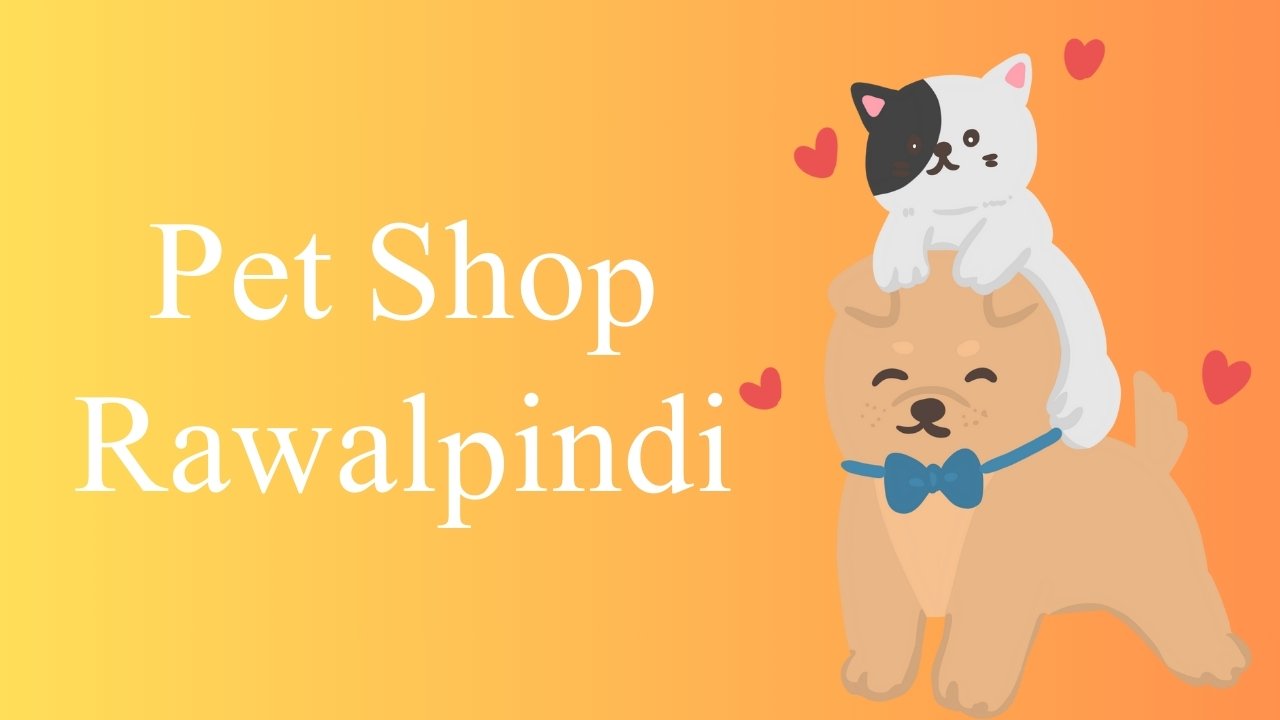 Pet Shop Rawalpindi