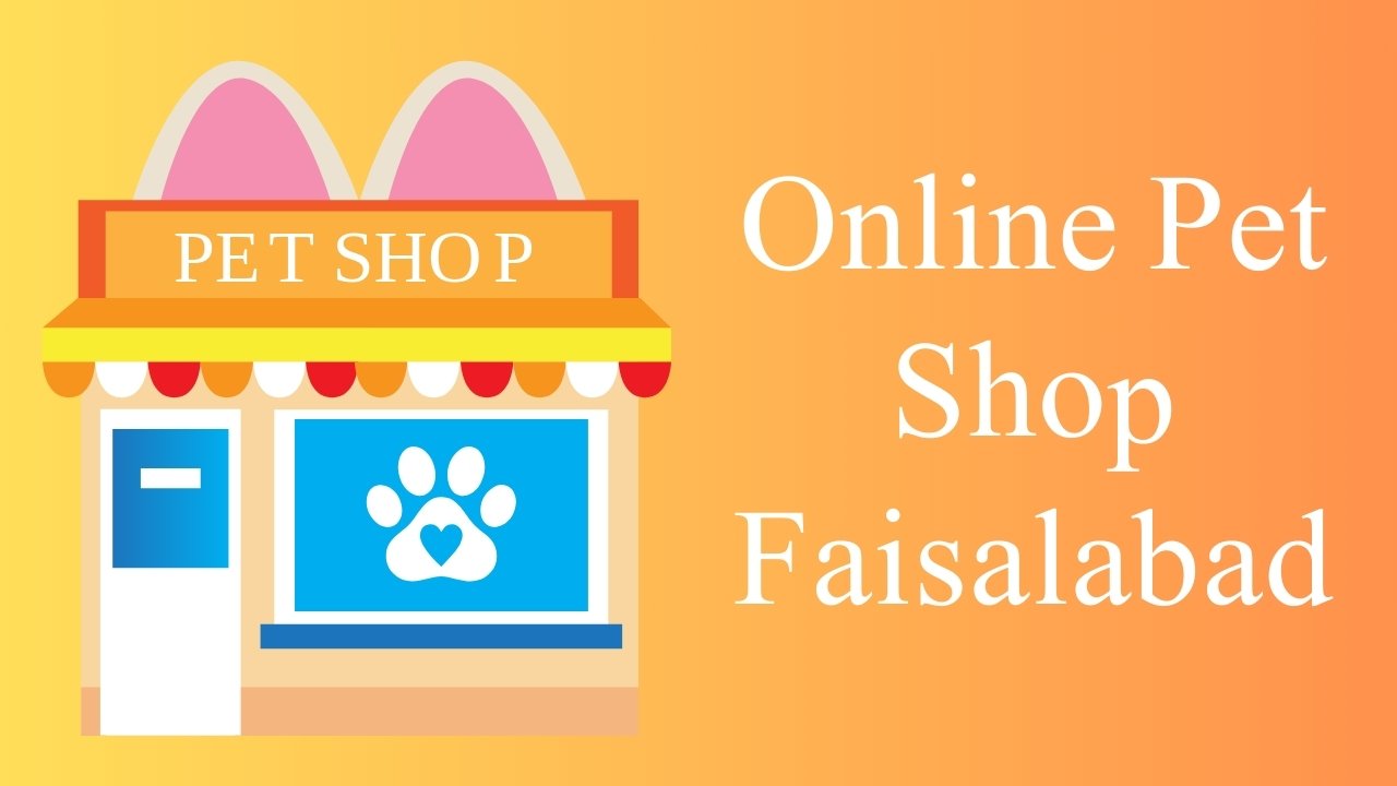 Online Pet Shop Faisalabad