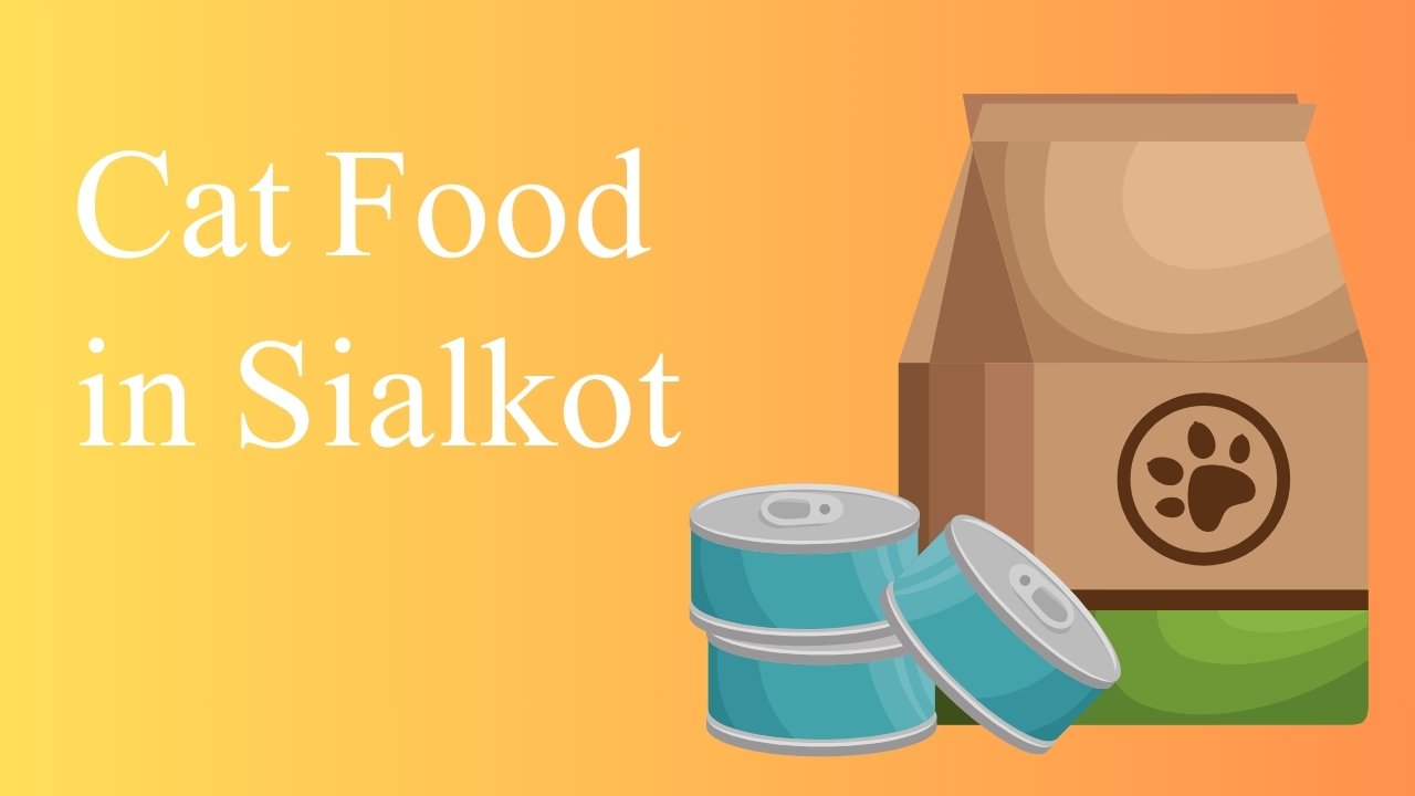 Cat Food in Sialkot