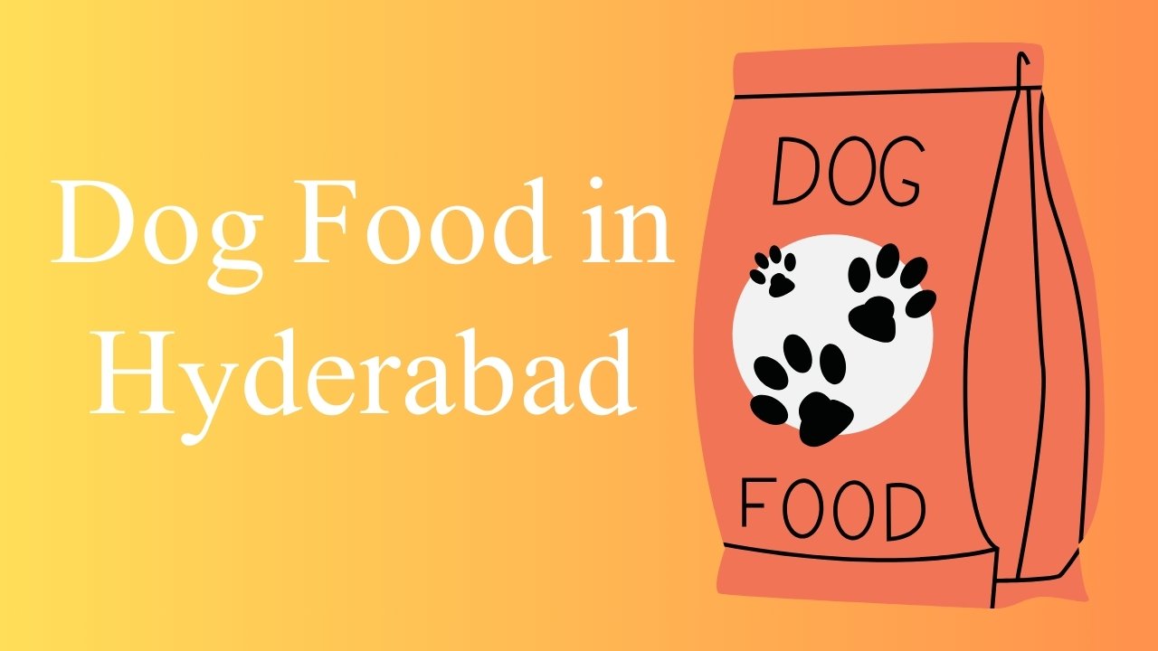 Dog Food in Hyderabad