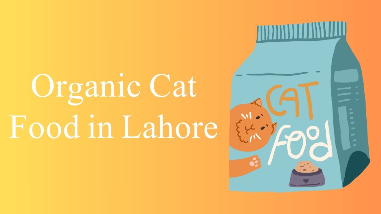 Organic Cat Food in Lahore