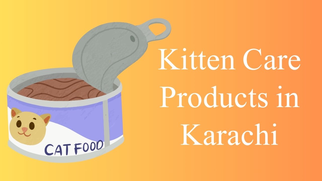 Kitten Care Products in Karachi