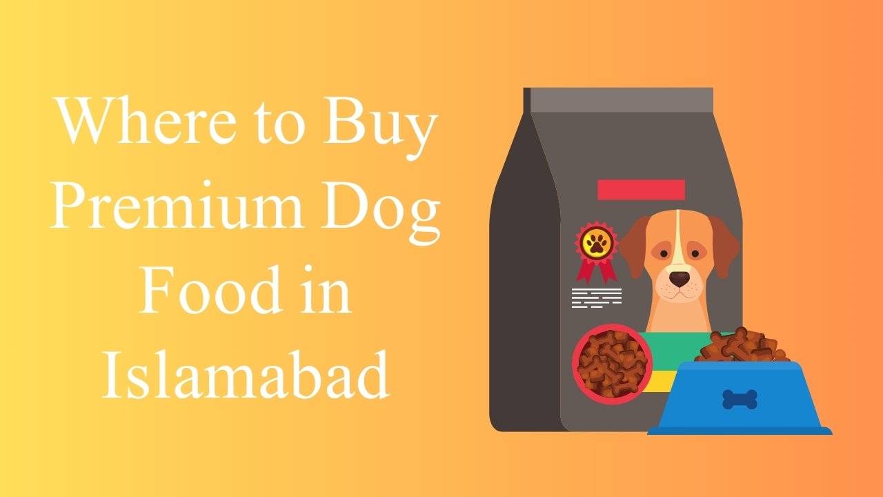 Where to Buy Premium Dog Food in Islamabad