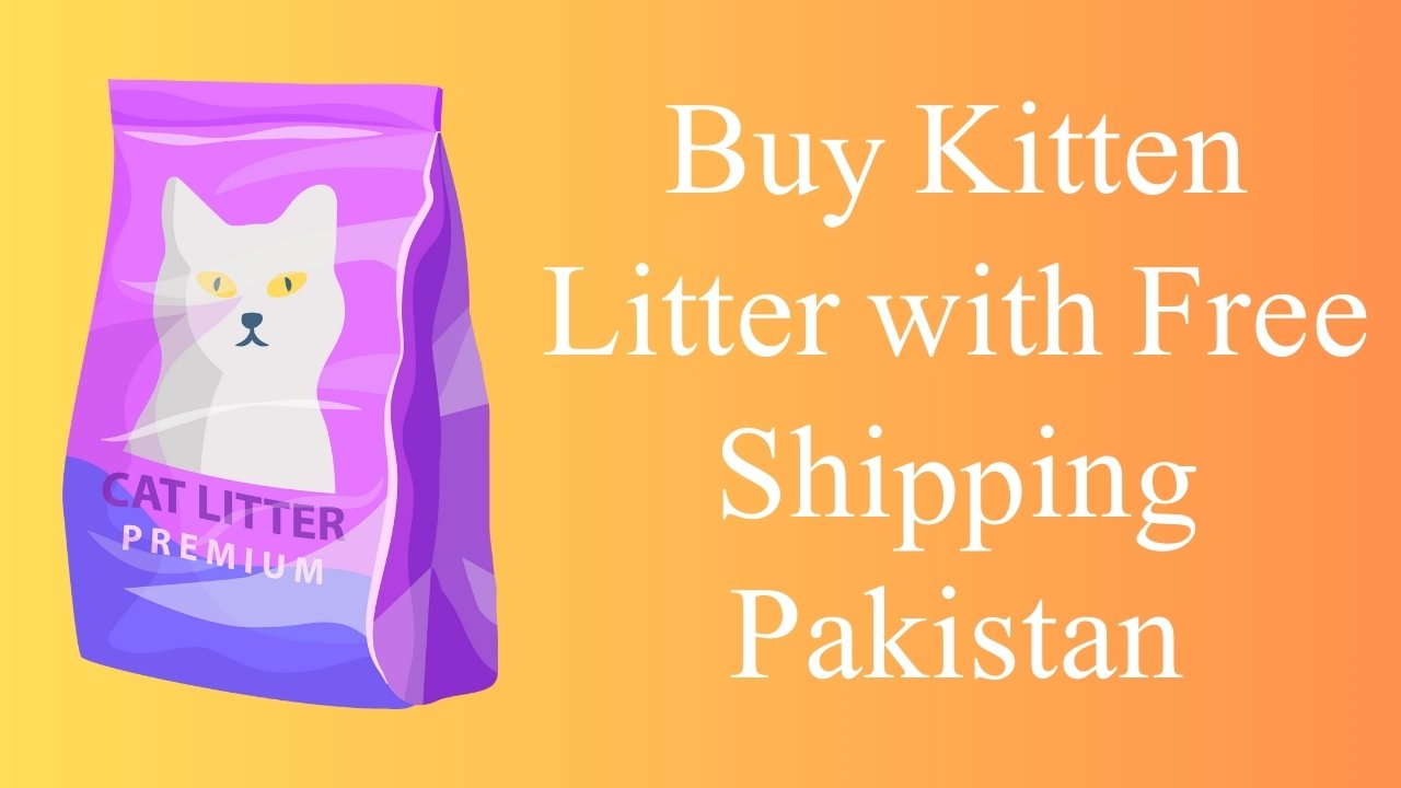 Buy Kitten Litter with Free Shipping Pakistan