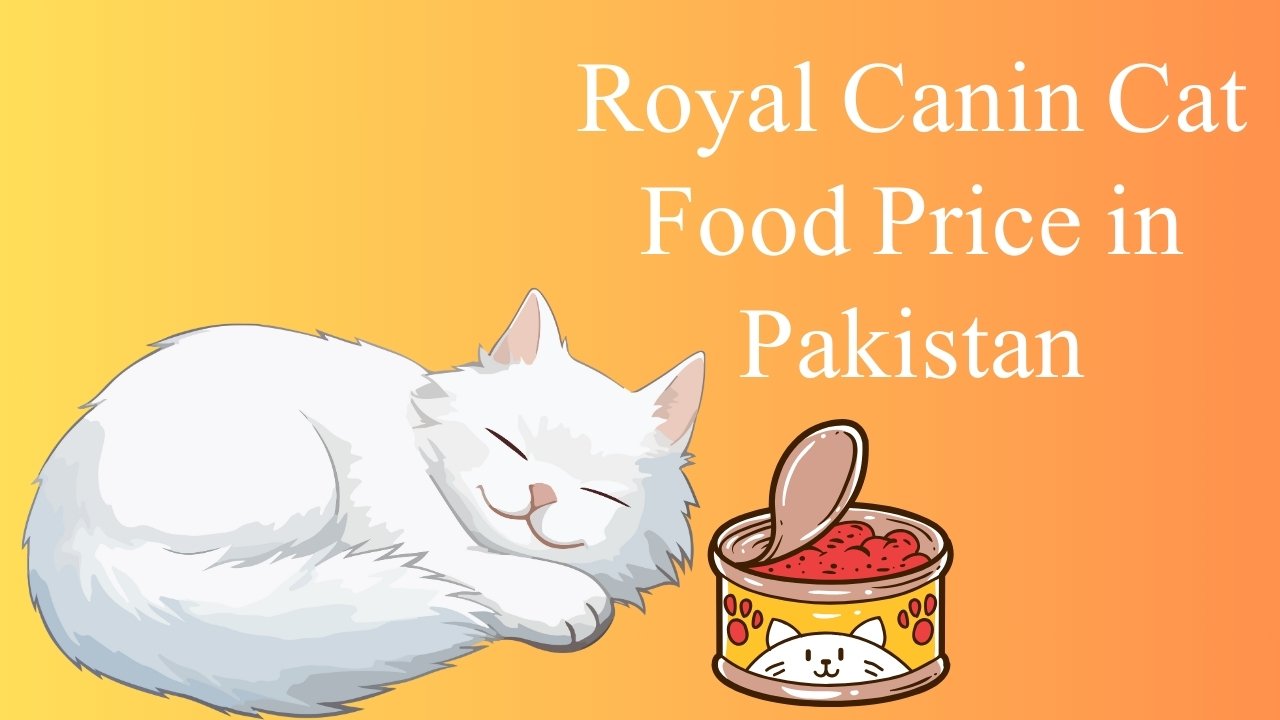 Royal Canin Cat Food Price in Pakistan