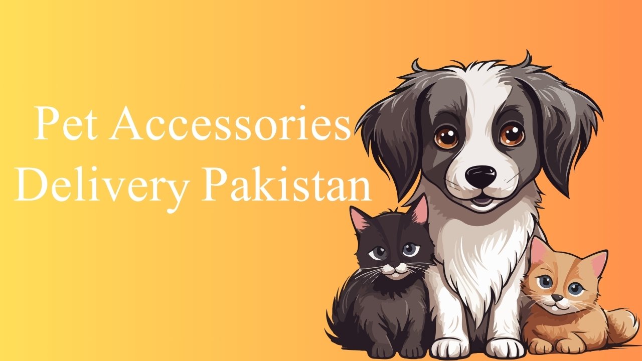 Pet Accessories Delivery in Pakistan