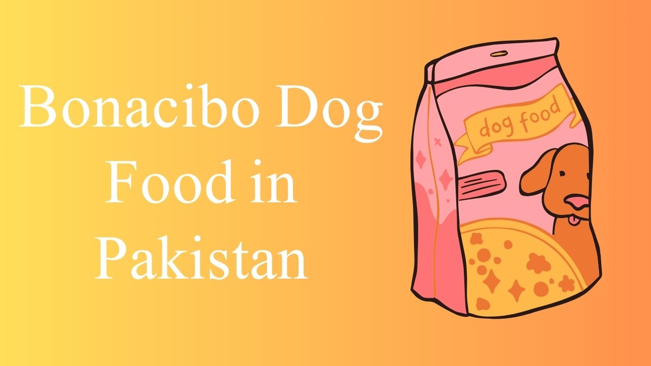 Bonacibo Dog Food in Pakistan