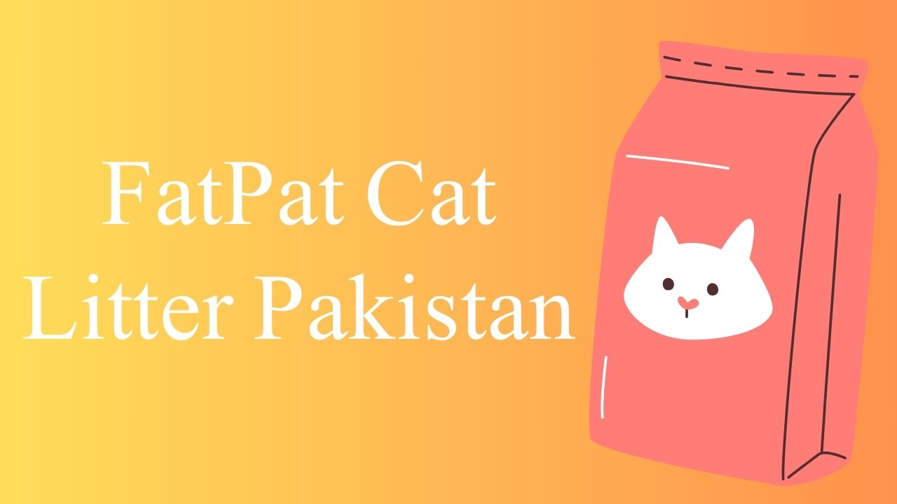 FatPat Cat Litter Pakistan