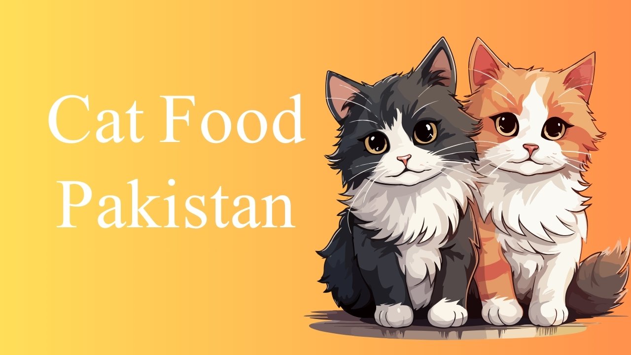 Cat Food Pakistan