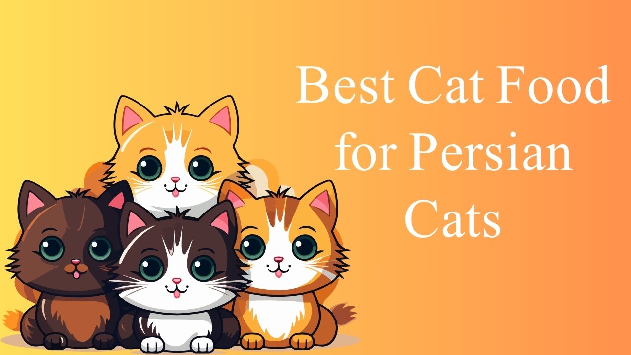 Best Cat Food for Persian Cats