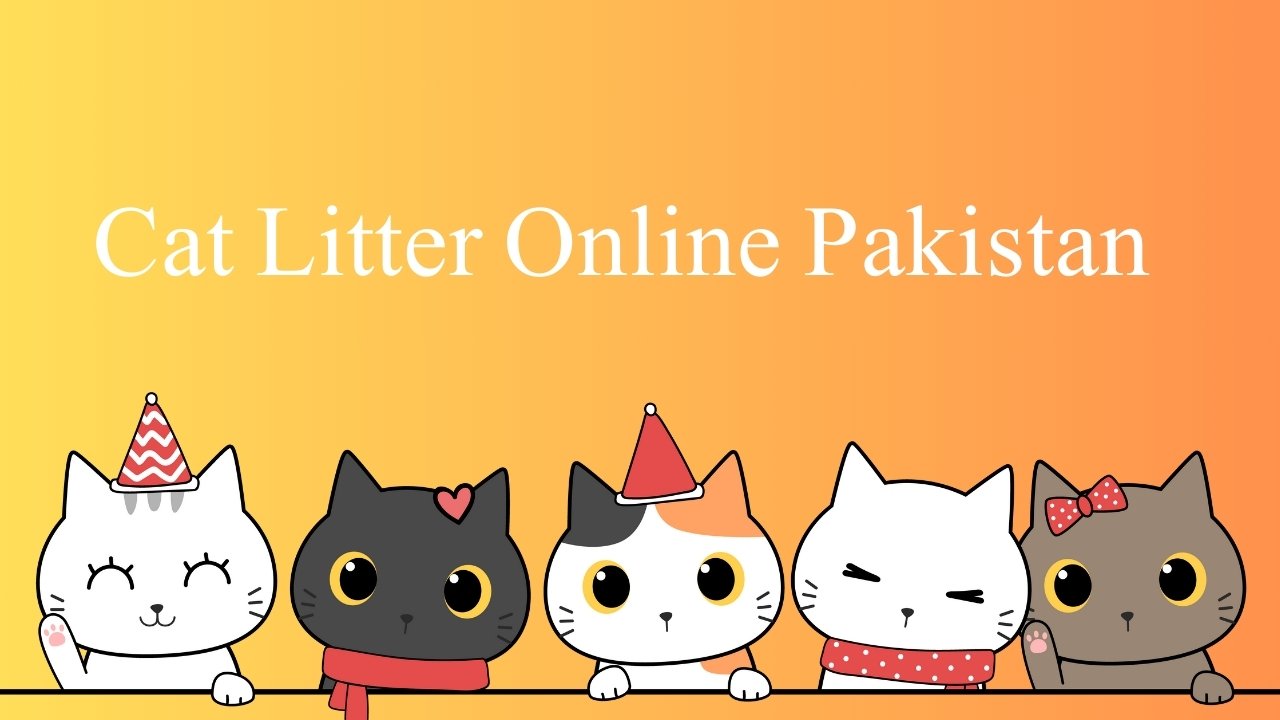 Cat Litter Online Pakistan