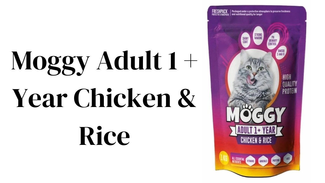 Moggy Adult 1+ Year Chicken & Rice