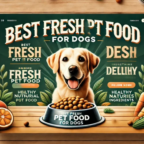 Best Fresh Pet Food for Dogs | Top Choices for Healthy and Happy Canines