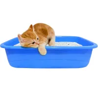 PawComfort Kitten Litter Tray with FREE SCOOP - Only for Kittens - 6 different colors