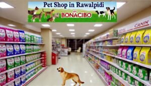 Pet Shop in Rawalpindi